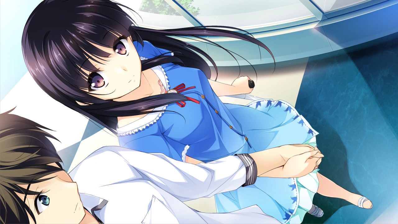 Picture of the game If My Heart Had Wings -Flight Diary-