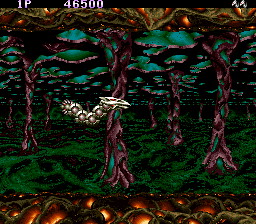 Foto do jogo Saint Dragon
