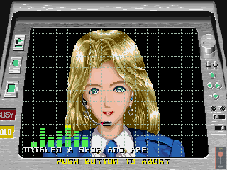 Foto do jogo Super Chase: Criminal Termination