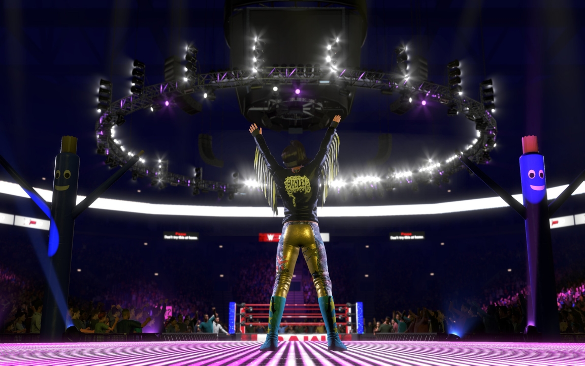 Picture of the game WWE 2K20