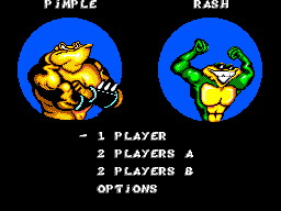 Picture of the game Battletoads in Battlemaniacs