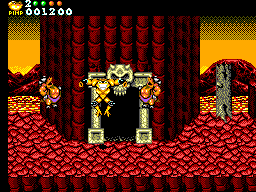 Picture of the game Battletoads in Battlemaniacs
