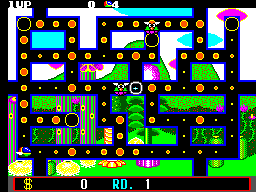 Picture of the game Fantasy Zone: The Maze