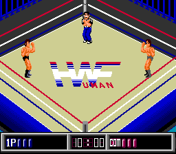 Picture of the game Thunder Pro Wrestling Retsuden