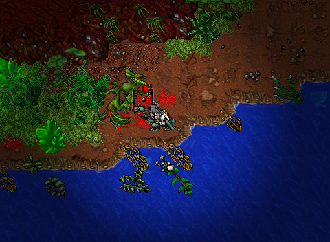 Picture of the game Tibia