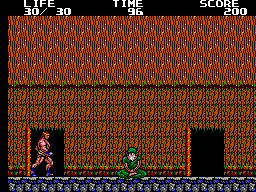 Picture of the game Danan: The Jungle Fighter