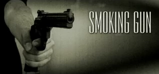 Smoking Gun Productions developer logo