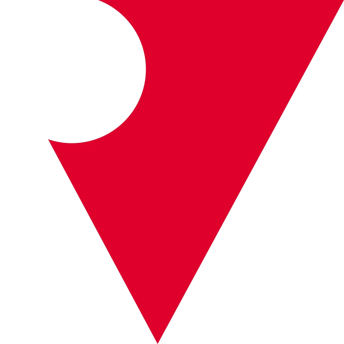 Real Vision developer logo