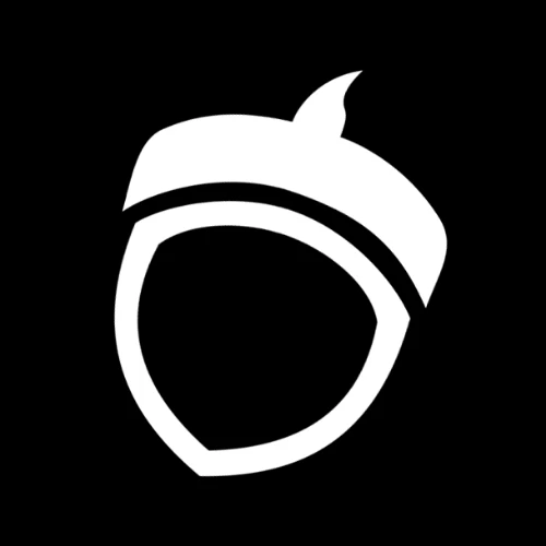 Blind Squirrel Games Entertainment developer logo