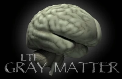 LTI Gray Matter developer logo