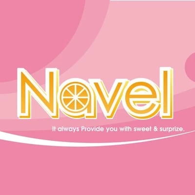 Navel developer logo