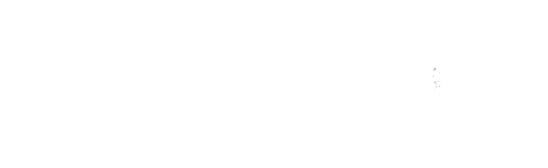 Endnight Games developer logo