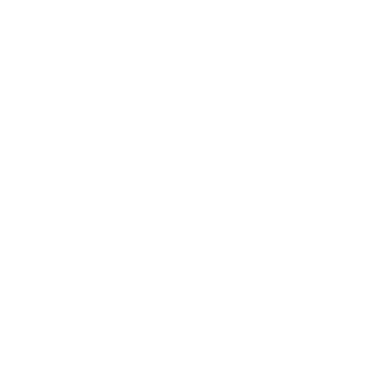 Slang Slang