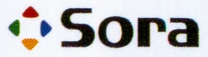 Sora developer logo Sora developer logo