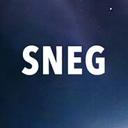 SNEG logo SNEG logo